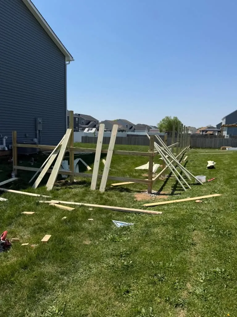 Backyard before the new fence was built