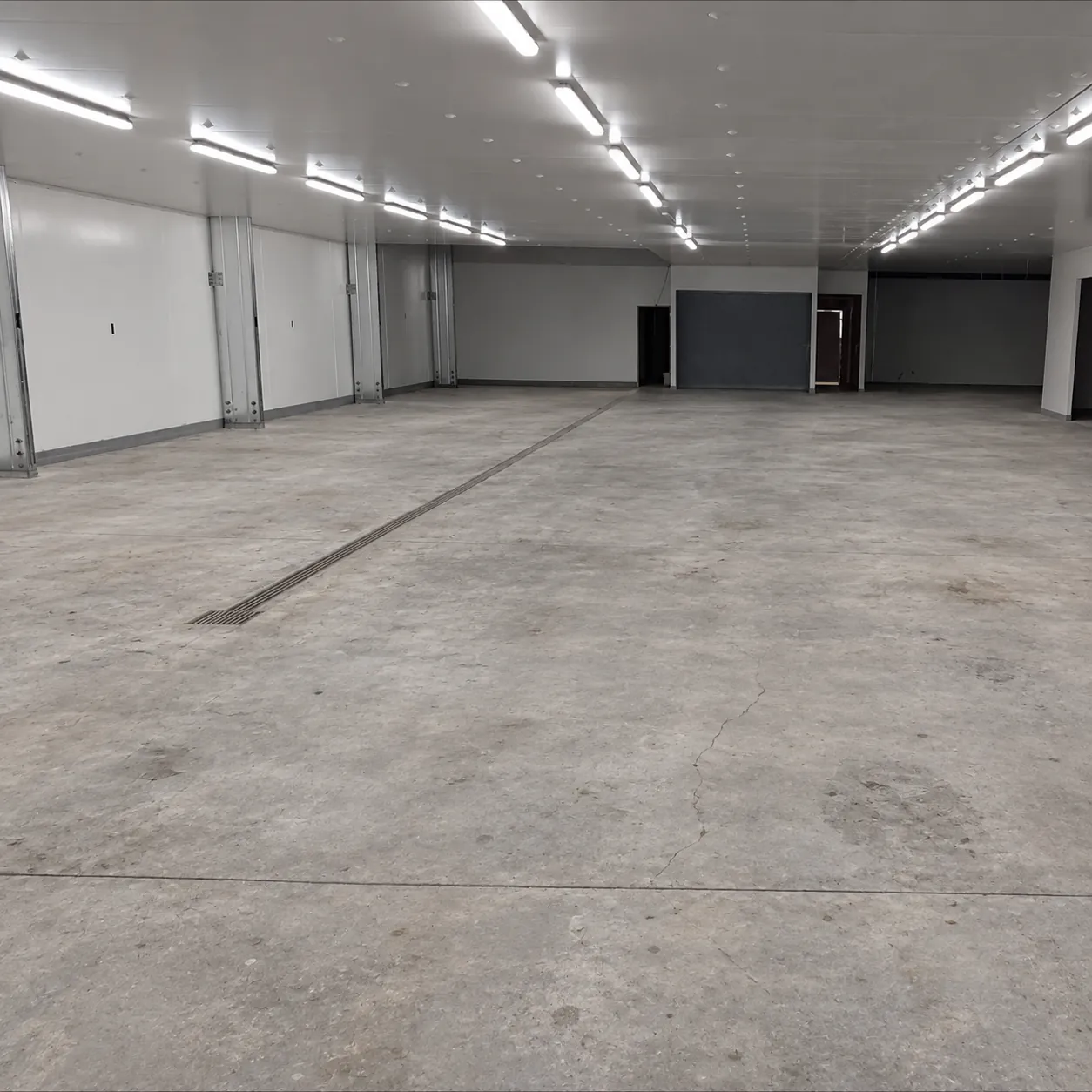 Garage before with bare concrete floor